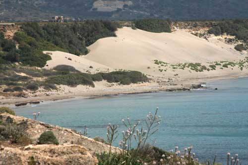 orthi ammos