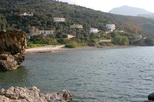polyrizos